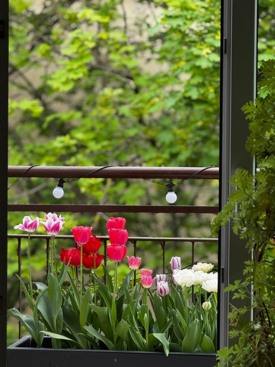 3 room apartment 58 m² in Warsaw, Poland
