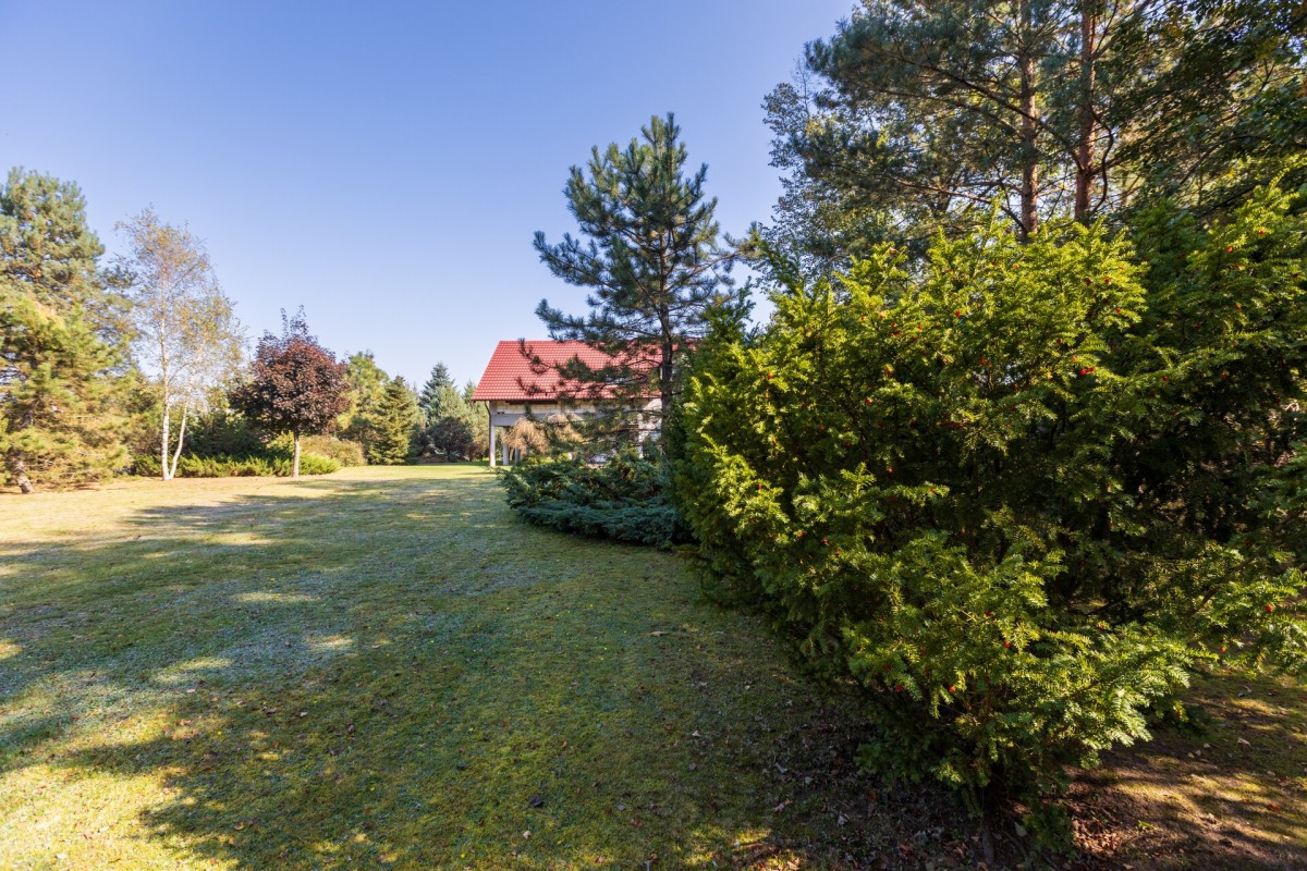 House 289 m² Kuznica Czarnkowska, Poland