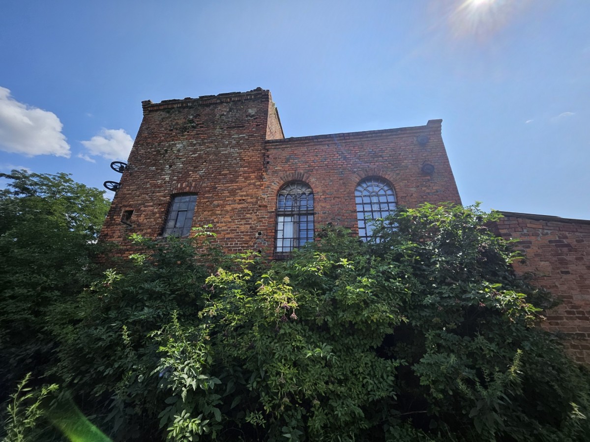 Apartment 500 m² Bucz, Poland